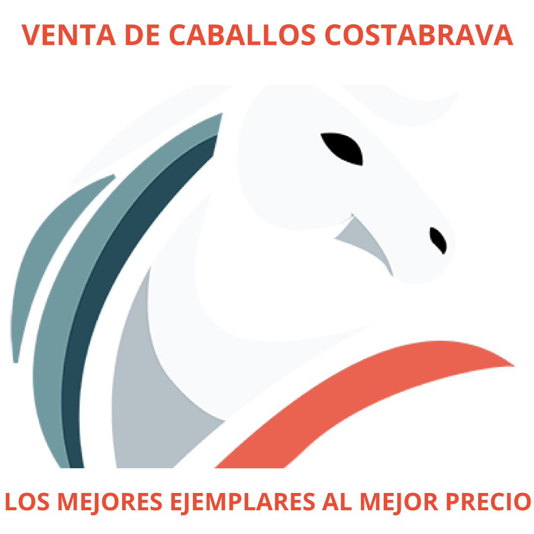 caballo PRE en venta, pura raza española, venta de caballos PRE, potros PRE, yeguas PRE, caballo español pura raza, caballos andaluces en venta, criadero de caballos PRE, caballos PRE Cataluña, caballos para principiantes, caballos domados, caballos tranquilos, caballos para niños, caballos para rutas ecuestres, caballos para paseos, caballos para equitación, rutas a caballo en Cataluña, caballos para doma clásica, caballos de salto en venta, caballos deportivos, caballos de competición, doma natural, concursos de salto, caballos de hípica, caballos para entrenamientos, venta de caballos en Cataluña, caballos en venta Barcelona, comprar caballo en Girona, caballos en Tarragona, caballos en Lleida, criadero de caballos Barcelona, ganadería de caballos en Cataluña, venta de caballos en España, caballos en venta, comprar caballo en España, caballos baratos en venta, potros en venta, yeguas en venta, caballo castaño, caballo alazán, caballo tordo, caballo negro, alimentación equina, transporte de caballos, cuidados del caballo, equipo de equitación, razas de caballos en España, seguro para caballos, centros ecuestres Cataluña, hípicas en Cataluña
