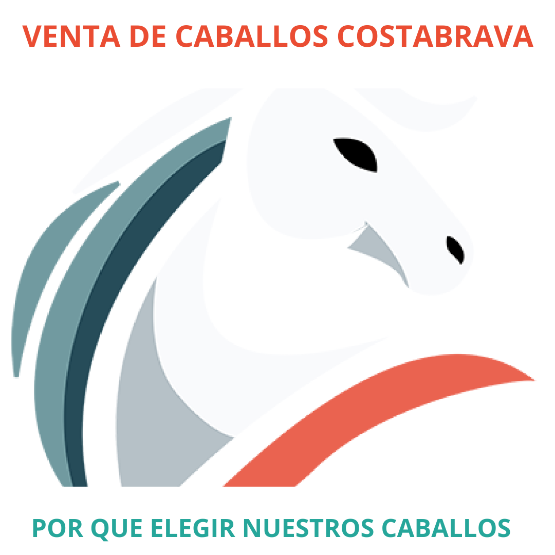 caballo PRE en venta, pura raza española, venta de caballos PRE, potros PRE, yeguas PRE, caballo español pura raza, caballos andaluces en venta, criadero de caballos PRE, caballos PRE Cataluña, caballos para principiantes, caballos domados, caballos tranquilos, caballos para niños, caballos para rutas ecuestres, caballos para paseos, caballos para equitación, rutas a caballo en Cataluña, caballos para doma clásica, caballos de salto en venta, caballos deportivos, caballos de competición, doma natural, concursos de salto, caballos de hípica, caballos para entrenamientos, venta de caballos en Cataluña, caballos en venta Barcelona, comprar caballo en Girona, caballos en Tarragona, caballos en Lleida, criadero de caballos Barcelona, ganadería de caballos en Cataluña, venta de caballos en España, caballos en venta, comprar caballo en España, caballos baratos en venta, potros en venta, yeguas en venta, caballo castaño, caballo alazán, caballo tordo, caballo negro, alimentación equina, transporte de caballos, cuidados del caballo, equipo de equitación, razas de caballos en España, seguro para caballos, centros ecuestres Cataluña, hípicas en Cataluña