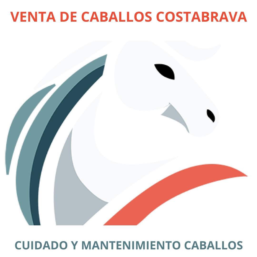 caballo PRE en venta, pura raza española, venta de caballos PRE, potros PRE, yeguas PRE, caballo español pura raza, caballos andaluces en venta, criadero de caballos PRE, caballos PRE Cataluña, caballos para principiantes, caballos domados, caballos tranquilos, caballos para niños, caballos para rutas ecuestres, caballos para paseos, caballos para equitación, rutas a caballo en Cataluña, caballos para doma clásica, caballos de salto en venta, caballos deportivos, caballos de competición, doma natural, concursos de salto, caballos de hípica, caballos para entrenamientos, venta de caballos en Cataluña, caballos en venta Barcelona, comprar caballo en Girona, caballos en Tarragona, caballos en Lleida, criadero de caballos Barcelona, ganadería de caballos en Cataluña, venta de caballos en España, caballos en venta, comprar caballo en España, caballos baratos en venta, potros en venta, yeguas en venta, caballo castaño, caballo alazán, caballo tordo, caballo negro, alimentación equina, transporte de caballos, cuidados del caballo, equipo de equitación, razas de caballos en España, seguro para caballos, centros ecuestres Cataluña, hípicas en Cataluña