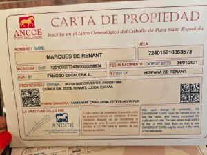 CABALLOS EN VENTA