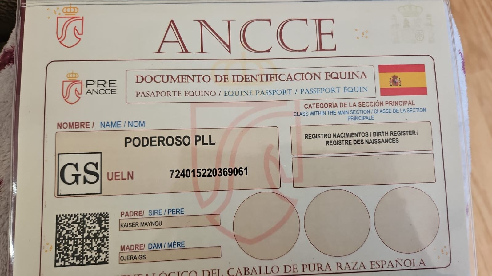 CABALLOS EN VENTA EN TODA ESPAÑA, CON SEDE EN BARCELONA